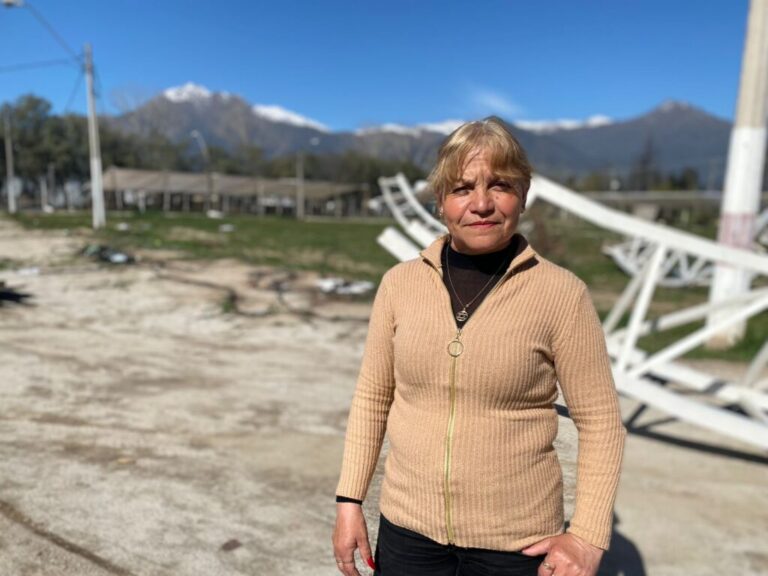 Con detector de metales incluido: Fondas y Ramadas de la Provincia Cordillera vuelven con todo y máxima seguridad