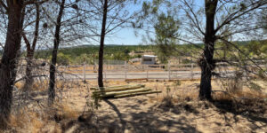Parcela en Cauquenes