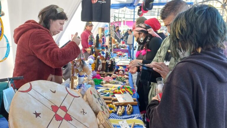 Feria de Emprendedores de pueblos originarios llegó a la Plaza de Puente Alto