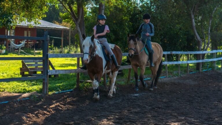 Club Ecuestre Pirque: ¡Te invitamos a conocer su pony club! Una experiencia que fortalece el aprendizaje y autoestima de los niños