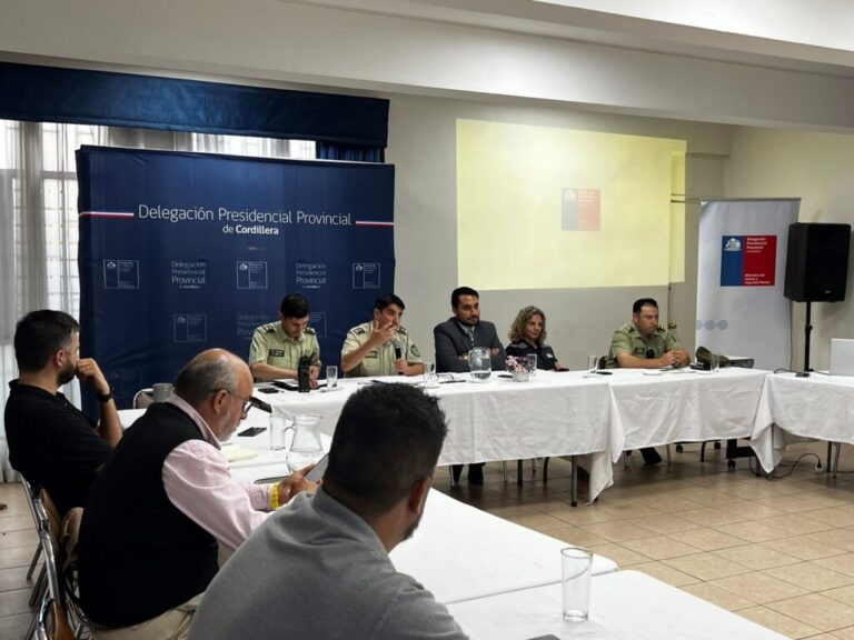 Delitos de mayor connotación social disminuyeron un 10% en promedio en sector poniente de Puente Alto