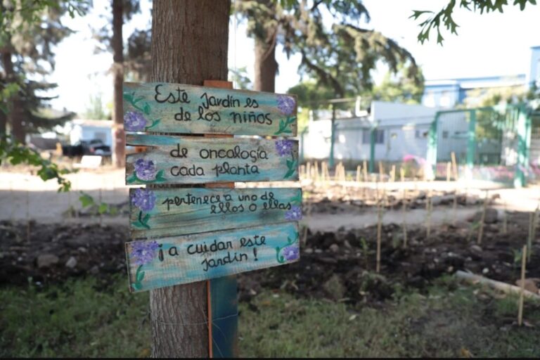 Un espacio sanador: ¿Sabías del bosque Miyawaki en el Hospital Dr. Sótero del Río?