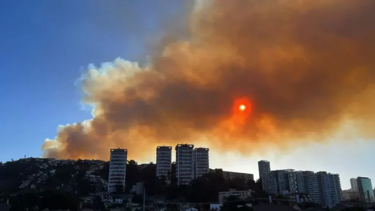 Críticas a periodistas por despachos en Viña del Mar ¿Cómo hacer una cobertura con ética?