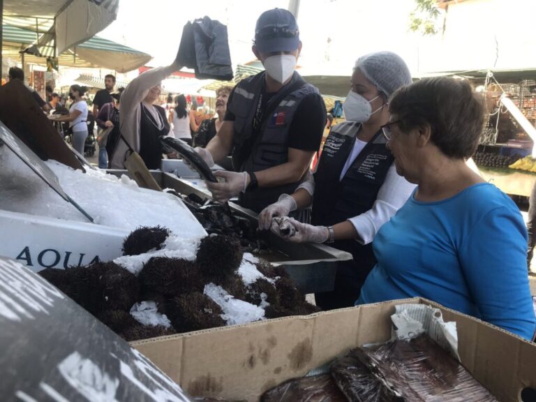 Fiscalización en venta de pescados y mariscos en Puente Alto: decomisan 14 kilos en mal estado