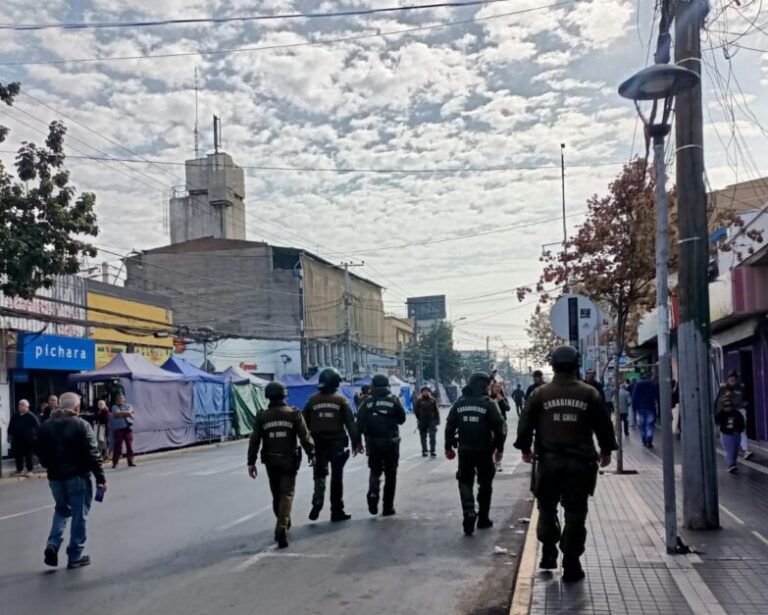 Operativo de fiscalización al comercio ilegal en la Plaza de Puente Alto