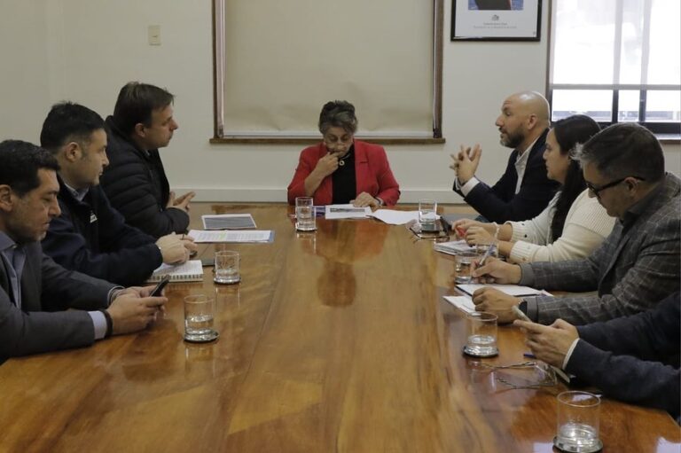 Alcalde de Puente Alto sostiene reunión con el MOP para implementar el sistema free flow en acceso sur