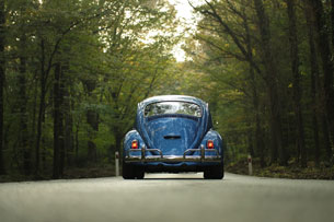 Celebra el Día Mundial del Escarabajo en el Pueblito de las Vizcachas: se contará con 60 de estos autos en exhibición