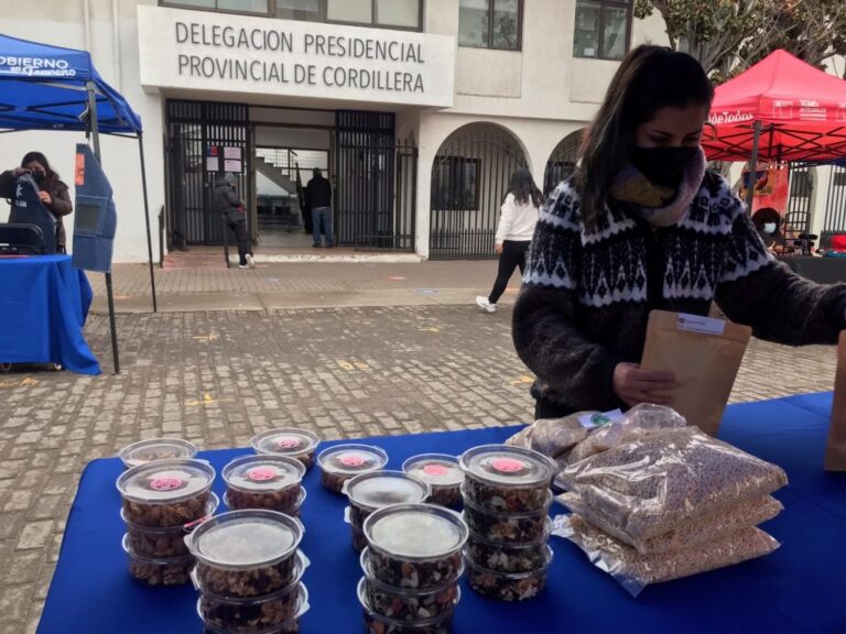 Visita la Feria de Pueblos Originarios: Desde hoy hasta el miércoles en la Delegación Presidencial Cordillera