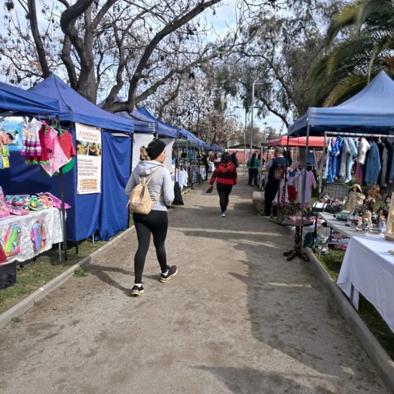 Feria de emprendimientos en Villas de Puente Alto