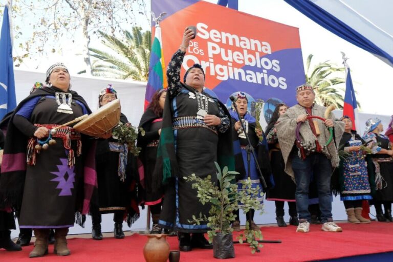 En Puente Alto se realiza la 13° versión de la Expo de Pueblos Originarios