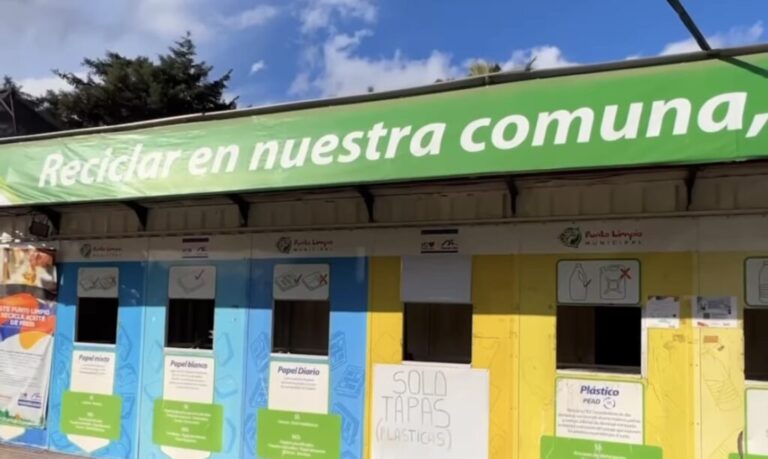 Retiro de reciclaje a domicilio: Conoce cómo solicitar el servicio gratuito en Puente Alto