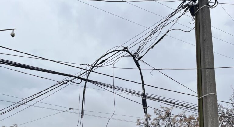 Hombre murió electrocutado por cable cortado tras caída de un árbol en Puente Alto