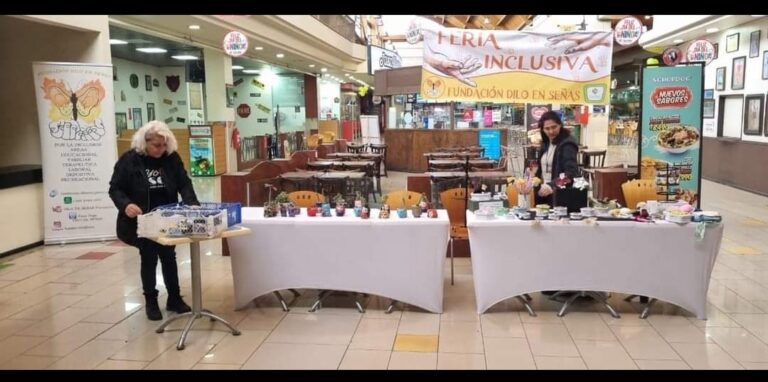 Feria de emprendimientos locales en Plaza Puente: Inclusión y diversidad en acción