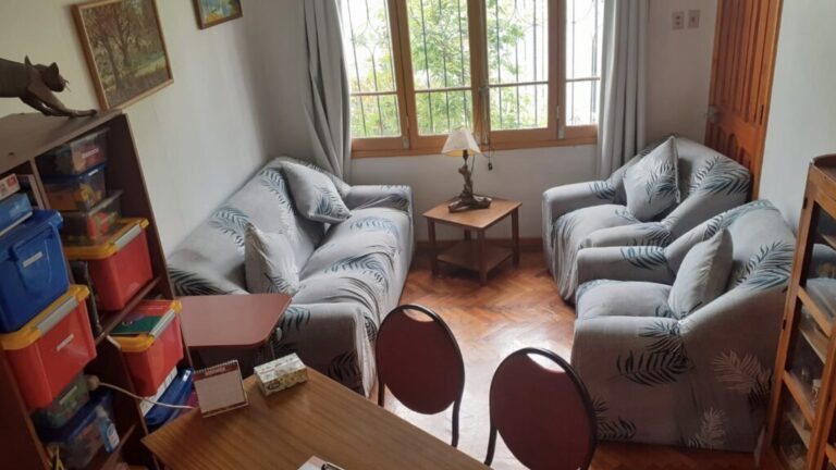 Centro Emocional Educativo en Puente Alto: Un Refugio para la Salud Mental y Educativa