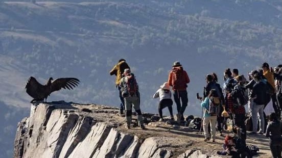 San José de Maipo se une para impulsar la creación de la Reserva Natural Municipal en el Mirador de Cóndores