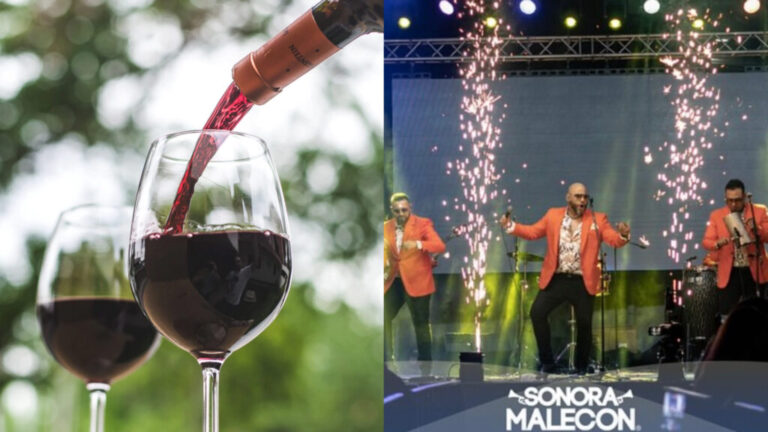 Vinos y cumbia: La Sonora Malecón brindará su ritmo en la XV Fiesta del Vino de Pirque