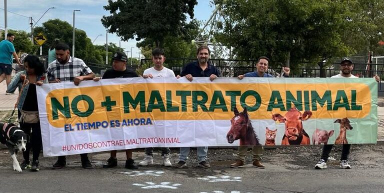 Matías Toledo, en busca de Recuperar Puente Alto, suma un nuevo apoyo a su candidatura independiente