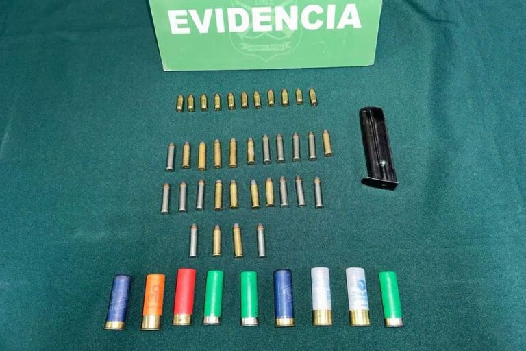 Detienen a sujeto por infracción a la Ley de Control de Armas en Puente Alto