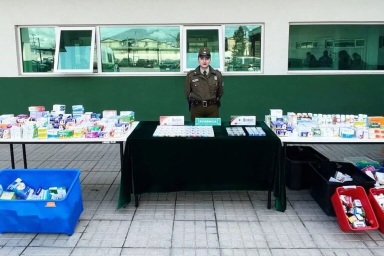 Exitoso operativo de fiscalización en ferias libres de Puente Alto