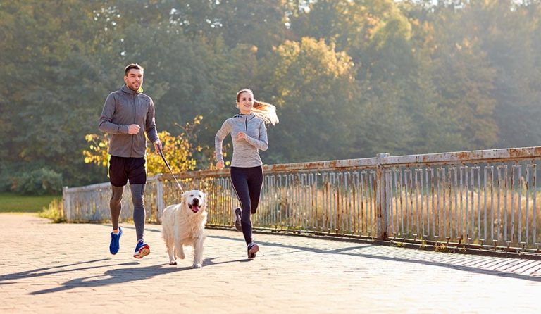 Se celebrará primera Corrida Canina con su Dueño en Puente Alto