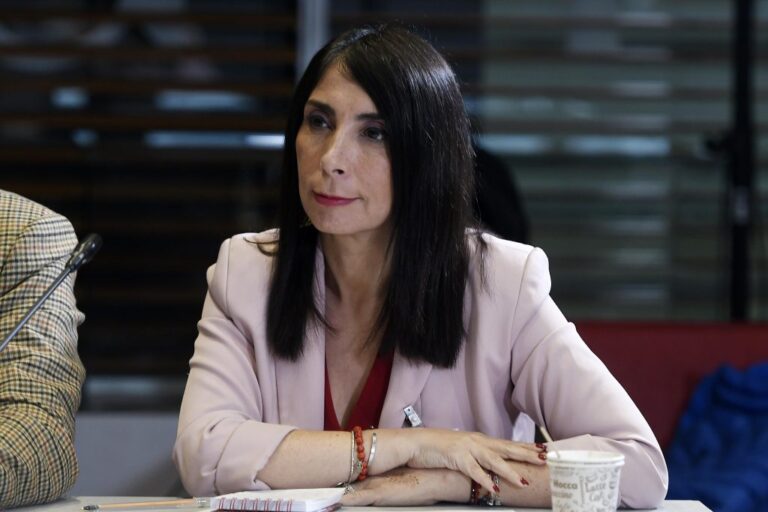 Karla Rubilar no podrá votar en Puente Alto en las próximas elecciones, en Servel aparece inscrita en Colina