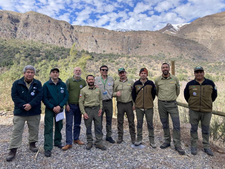 Se cumplen 50 años de la creación del Monumento Natural El Morado