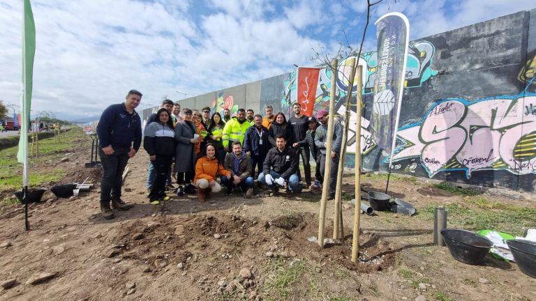 Conexión Puma y sus aliados plantaron cien árboles nativos en Puente Alto