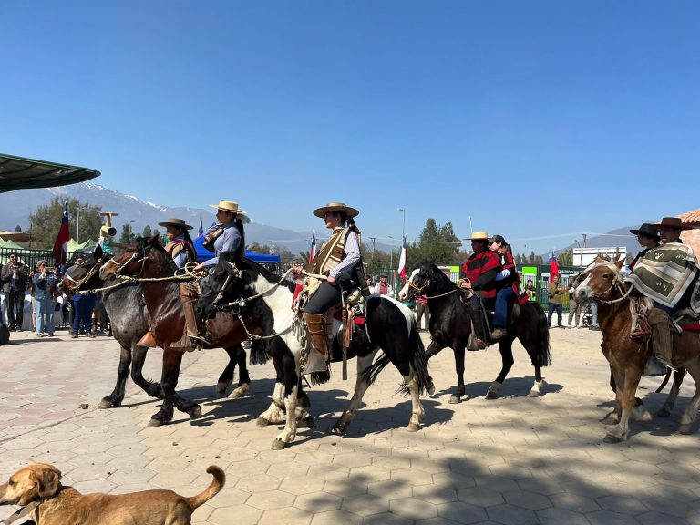 ¡Un éxito!: Pirque celebró su Desfile Comunal en el Parque Vicente Huidobro