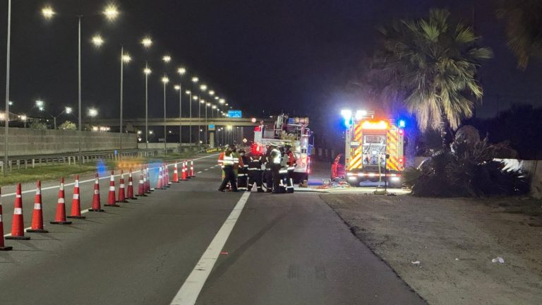 Dos hombres fallecen tras chocar contra una palmera en Puente Alto