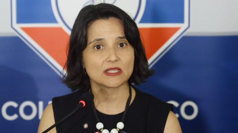 Presidenta del Colegio Médico solicita estandarizar protocolos de protección en centros de salud tras hechos de violencia en Puente Alto