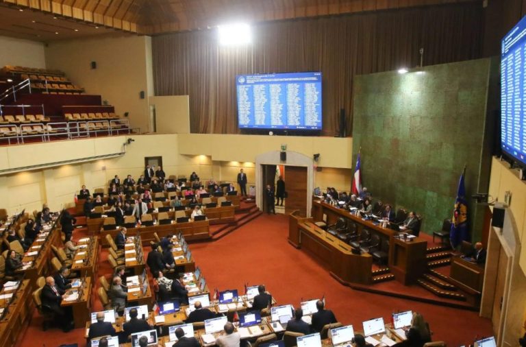 Fallece Mercedes Bulnes: la diputada que enfrentó el cáncer y la polémica por su reemplazo en el Congreso