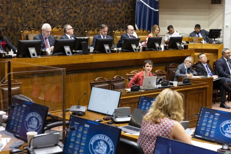 Cámara de diputados aprueba creación del Ministerio de Seguridad Pública: ¿En qué consistirá el nuevo ministerio?