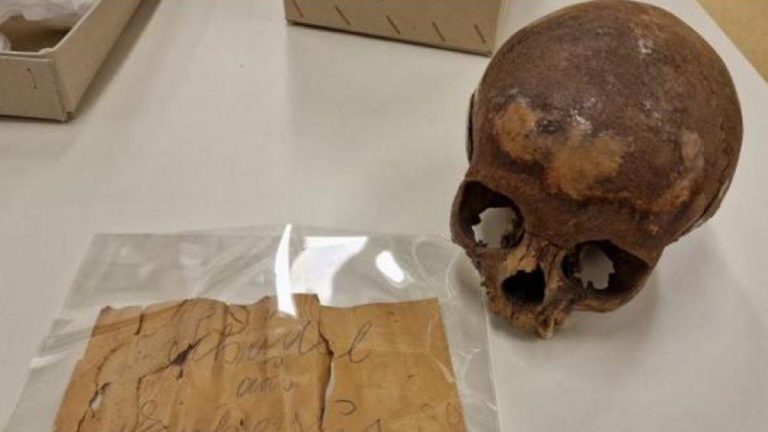 Revelación Impactante: Análisis de ADN Desmiente que la Calavera de Éfeso sea de Arsínoe IV, Hermana de Cleopatra, Revolucionando la Arqueología y el Uso de Tecnología Avanzada 2025-01-15T00:55:09.000Z.jpg