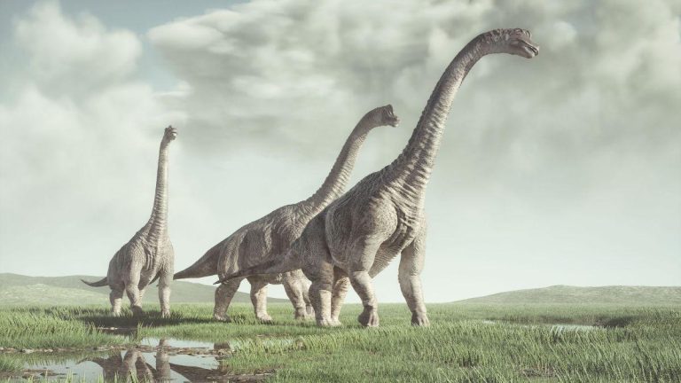 Nuevas Perspectivas sobre el Origen de los Dinosaurios: Gondwana, la Verdadera Cuna de los Enigmáticos Reptiles según Estudios Recientes 2025-01-28T18:37:23.000Z.jpg
