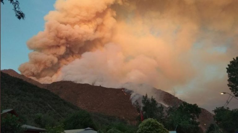 Incendio forestal en San José de Maipo: La emergencia en la comuna ha consumido más de 100 hectáreas