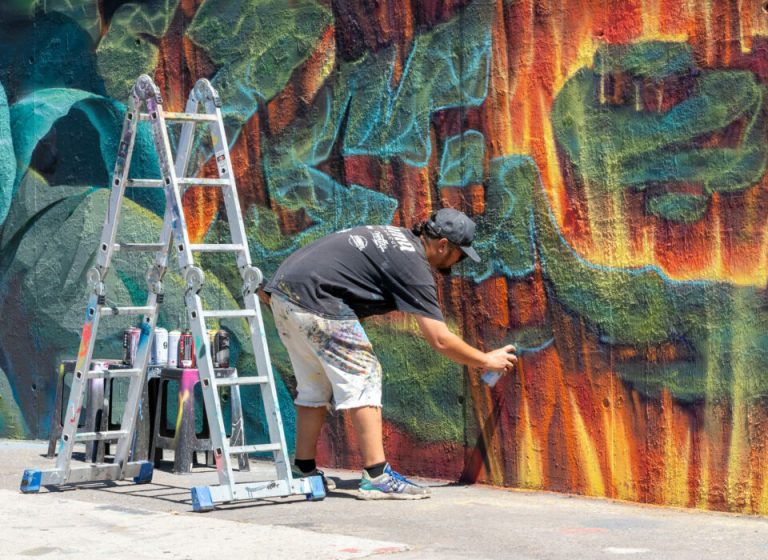 Creación de mural en vivo: una experiencia artística única en La Florida