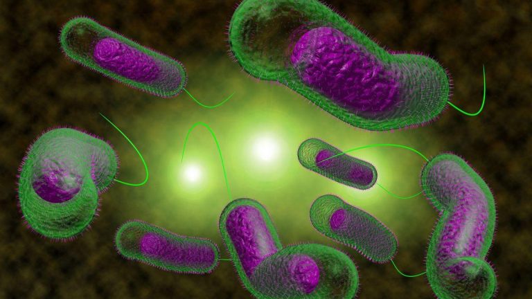 La inteligencia artificial de Google revoluciona la investigación científica al desafiar estudios humanos en la lucha contra las superbacterias resistentes a antibióticos 2025-02-24T00:04:25.000Z.jpg