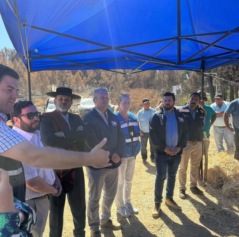 Pirque junto a Municipios entregan ayuda a comunidad afectada por incendios en Purén