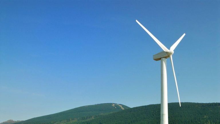 Transformación Sostenible: Acciona Convierte Aspas de Turbinas Eólicas en Tablas de Surf Innovadoras en Australia 2025-03-05T09:39:59.000Z.jpg