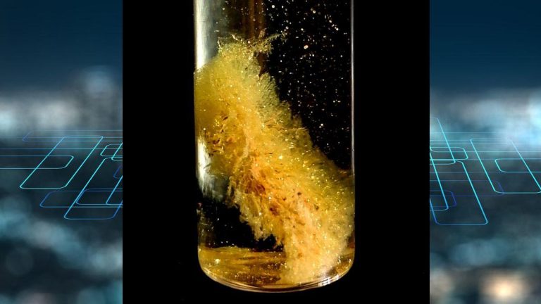 Descubrimiento de ETH Zurich: Oro de 22 quilates en desechos electrónicos podría transformar la industria del reciclaje y generar empleos sostenibles 2025-03-25T05:00:08.000Z.jpg
