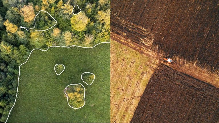 Revolución en la Observación Terrestre: TerraMind, la IA de IBM y ESA, Transforma la Gestión Ambiental Global 2025-04-22T04:01:12.000Z.jpg