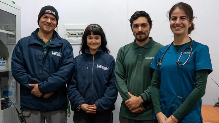 ¡Tremenda noticia!: Pueblito de Las Vizcachas de Puente Alto inauguró Sala Veterinaria para fauna silvestre