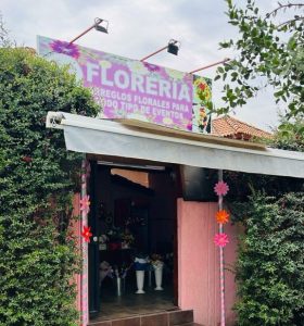 Virginia Florería, Avenida El Peral 07005, Puente Alto