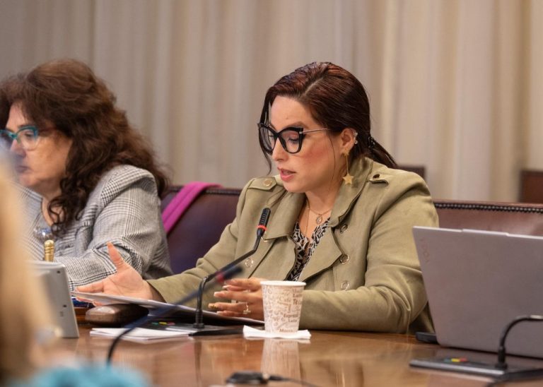 Diputada Mónica Arce condena dichos de empresaria Magdalena Merbilhaa: “Los trabajadores no son propiedad de sus jefes”