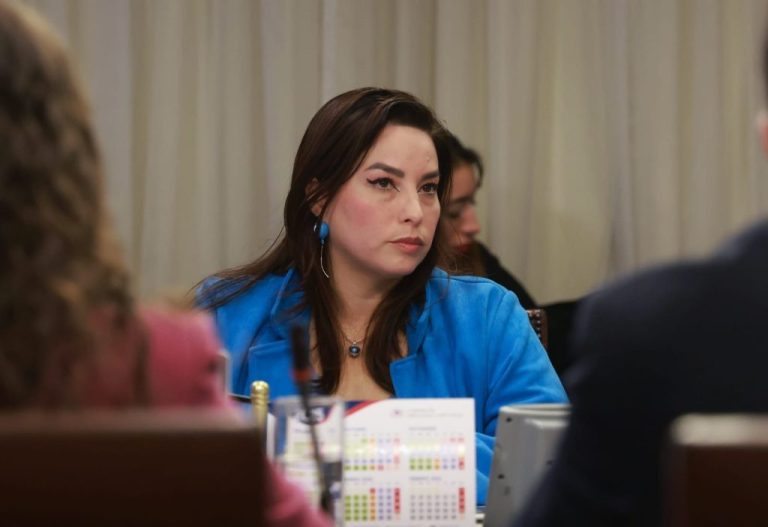 ¿Qué está pasando con la educación pública en Puente Alto? La diputada Mónica Arce lo explica