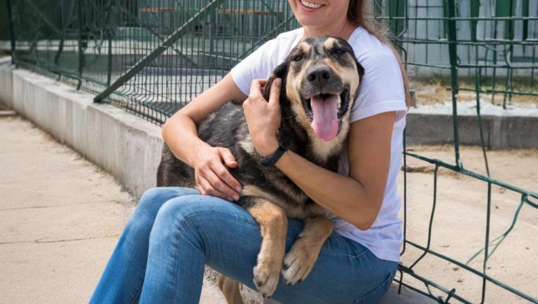 ¡Atención, vecinas y vecinos! Este domingo se realizará una jornada de adopción en el Pueblito de Las Vizcachas en Puente Alto
