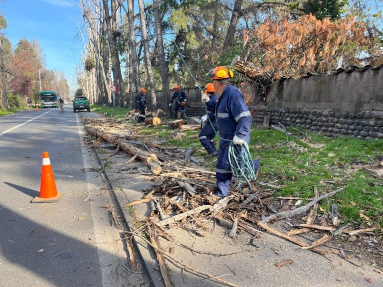 Pirque activa plan de invierno con podas preventivas en zonas estratégicas