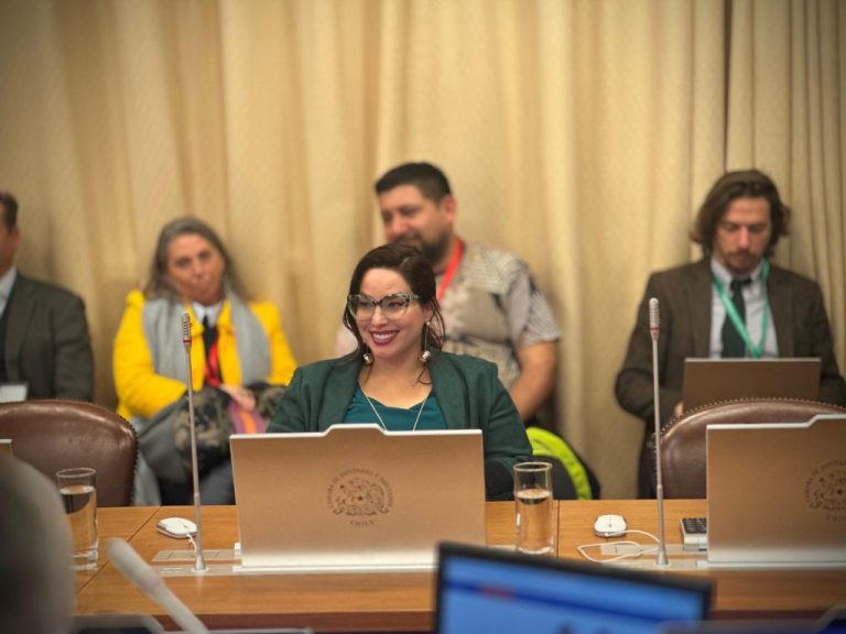 Homologar los derechos es garantizar calidad en la Educación: la propuesta de la diputada Arce para fortalecer la permanencia docente