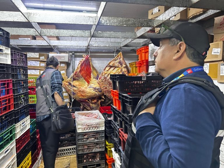 Detectaron falencias en manejo y conservación: Autoridades de la Provincia Cordillera decomisan 839 kilos de carne en mal estado en vísperas de Fiestas Patrias