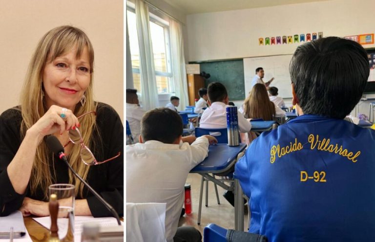 Diputada Ana María Gazmuri presenta indicaciones para acelerar la implementación del Sistema de Educación Pública